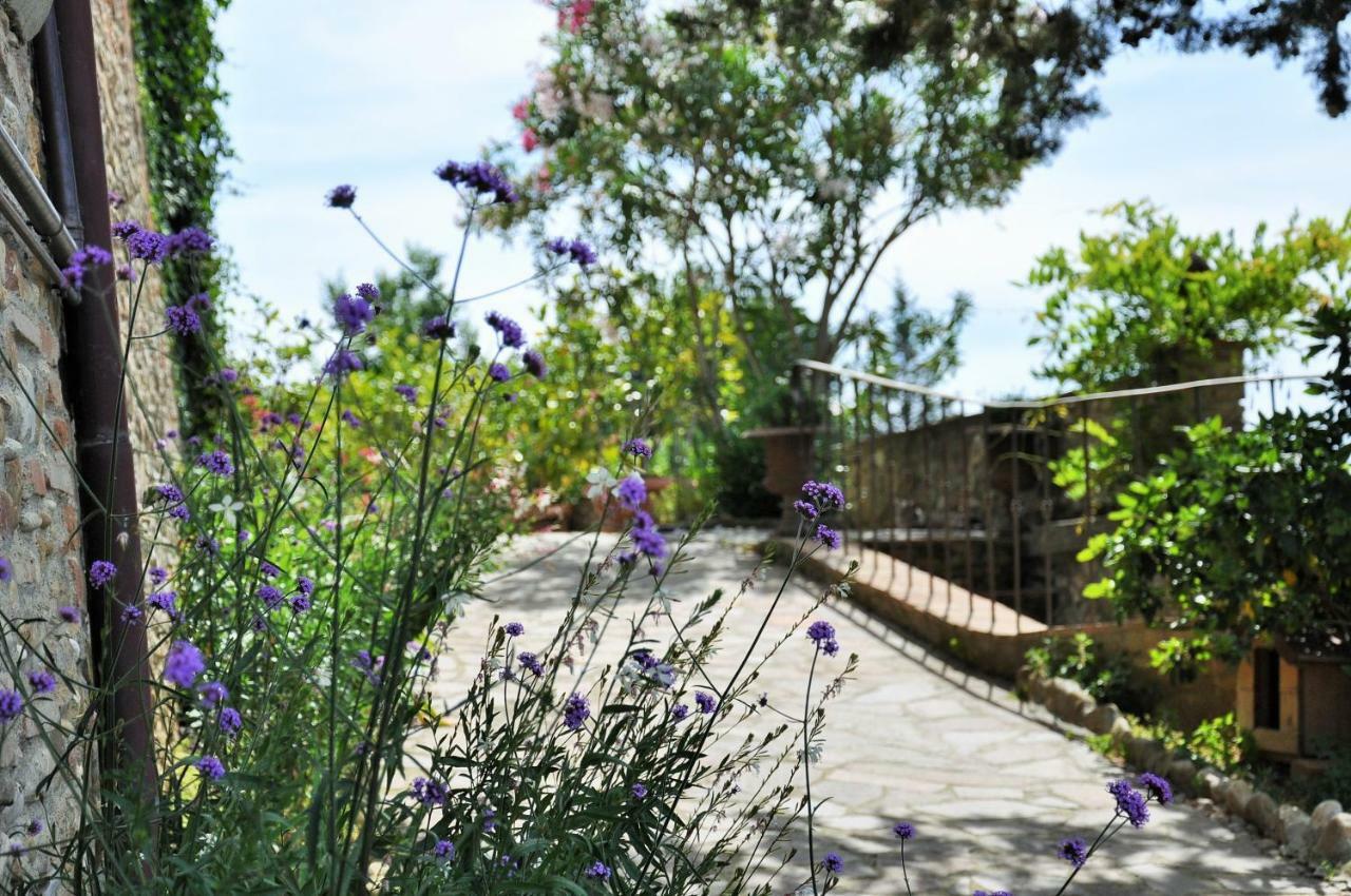 Agriturismo La Villa Romita Tavarnelle Val di Pesa Екстер'єр фото